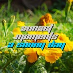 cover: Sunset Moments - A Sunny Day