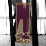 cover: Johnston&johnston - Voice No Voice