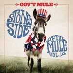 cover: Gov't Mule - Doo Doo Doo Doo Doo (Heartbreaker)