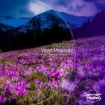 cover: Paul Solari - Violet Meadows