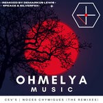 cover: Cev's - Noces Chymiques (The Remixes)