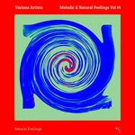 cover: Various - Melodic & Natural Feelings Vol 14