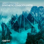 cover: Adam Francis - Synthetic Consciousness