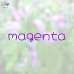 cover: Camo Musiq - Magenta