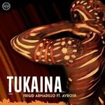 cover: Ayrosh|Frigid Armadillo - Tukaina