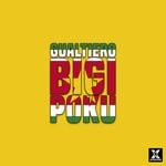 cover: Gualtiero - BIGI POKU