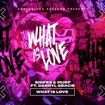 cover: Murf|Snipes - What Is Love