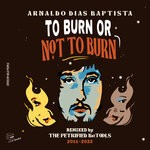 cover: Arnaldo Baptista - To Burn Or Not To Burn - Arnaldo Baptista Remixed By Petrified Betools - Album/Compilation - 2011-2022