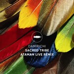 cover: Damirichi - Sacred Tribe (Ataman Live Remix)