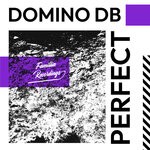 cover: Domino Db - Perfect