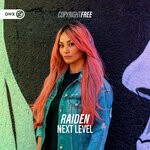 cover: Raiden - Next Level (Extended Mix)