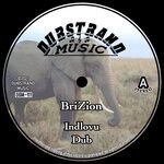 cover: Brizion - Indlovu