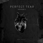 cover: James Saunders (JrDynamite) - Perfect Tear