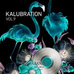 cover: Kalubration - Vol. 9