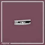 cover: Monster Florence - Peepin'