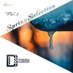 cover: Various - Spring Selection Vol 1