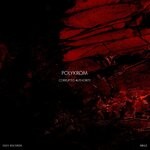 cover: Polykrom - Corrupted Authority