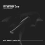 cover: Lou|Robin White - She Doesn't Mind (Crystal Rock Edit)