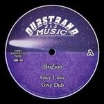 cover: Brizion - Give Love