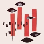 cover: Vanishing Twin - Choose Your Own Adventure