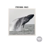 cover: Ettore Manna - Whales