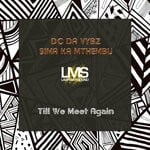 cover: Dc Da Vybz|Sima Ka Mthembu - Till We Meet Again