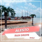 cover: Alesto - Rain Drops