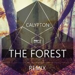 cover: Calypton - The Forest (Remix)