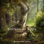 cover: Sunduo - Sounds Of Gaia