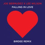 cover: Lee Wilson|Joe Bermudez - Falling In Love (Birdee Remix)