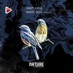 cover: Santi Avila - Magic Soul