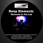 cover: Deep Elementz - Moments In The Lab