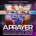 cover: Ricky Kej|Stewart Copeland - A Prayer (Cellmod Remix)