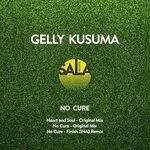 cover: Gelly Kusuma - No Cure