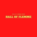 cover: Reza Stax|S.o.a.p - Hall Of Flemme