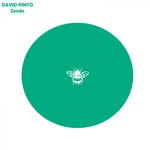 cover: David Pinto - Zenda