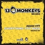 cover: Adam Vyt - Everything You Need (Radio Edit)