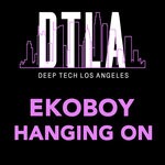 cover: Ekoboy - Hanging On