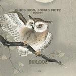 cover: Chris Brid|Jonas Fritz - Oudity