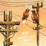 cover: 8ro8|Backend Projects|Thankq - Mynah Bird