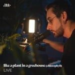 cover: Autune - Like A Plant In A Greenhouse (Chlorophyll) (Live)