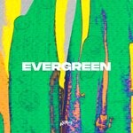 cover: Precursor (nl) - Evergreen