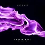 cover: Anton%f - Rabbit Hole (Remixes)