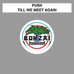 cover: Push - Till We Meet Again