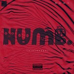 cover: Diverze.|Wizzledawzrd - Numb. (Wizchoppd) (Explicit)