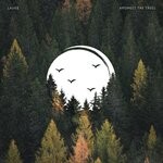 cover: Lauge - Amongst The Trees