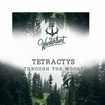 cover: Tetractys - Through The Woods