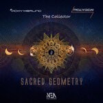 cover: Polygon|The Collector|Vicky Merlino - Sacred Geometry