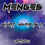 cover: Menges - What Year Is It