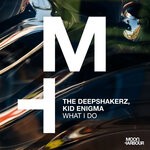 cover: Kid Enigma|The Deepshakerz - What I Do